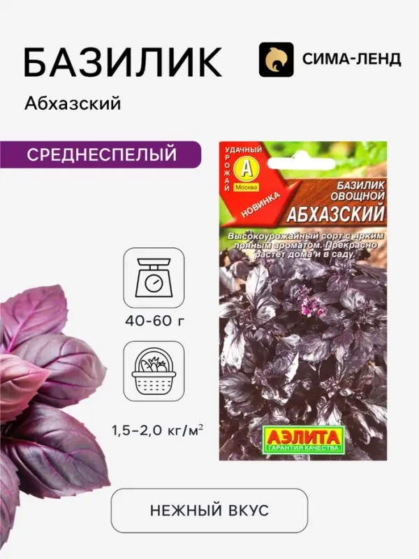 Семена Базилик овощной &laquo;Абхазский&raquo;, 0.2 г, &laquo;Аэлита&raquo;