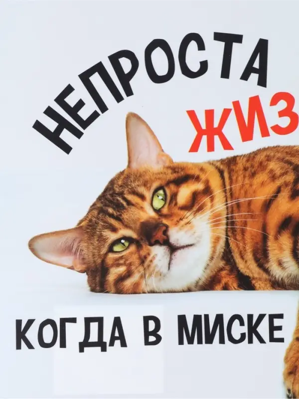 Коврик под миску &laquo;Не проста жизнь кота&raquo;, 43&times;28 см