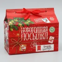 Коробка для сладостей «Новогодняя посылка», 10 х 18 х 14 см