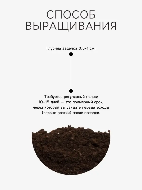 Семена Трава для кошек, 10 г, &laquo;Рецепты дедушки Никиты&raquo;