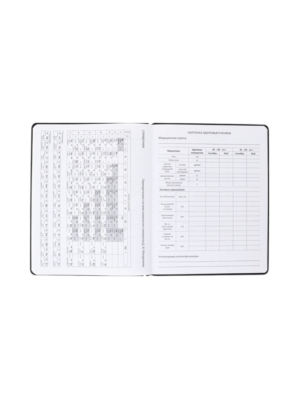 Дневник школьный 1-11 класс, deVENTE.Super Spy, искусственная кожа, поролон