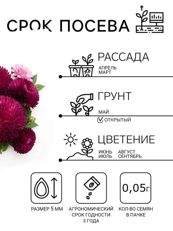 Семена цветов Астра игольчато-коготковая "Джувел Аметист", ц/п, однолетняя, 0,05 г