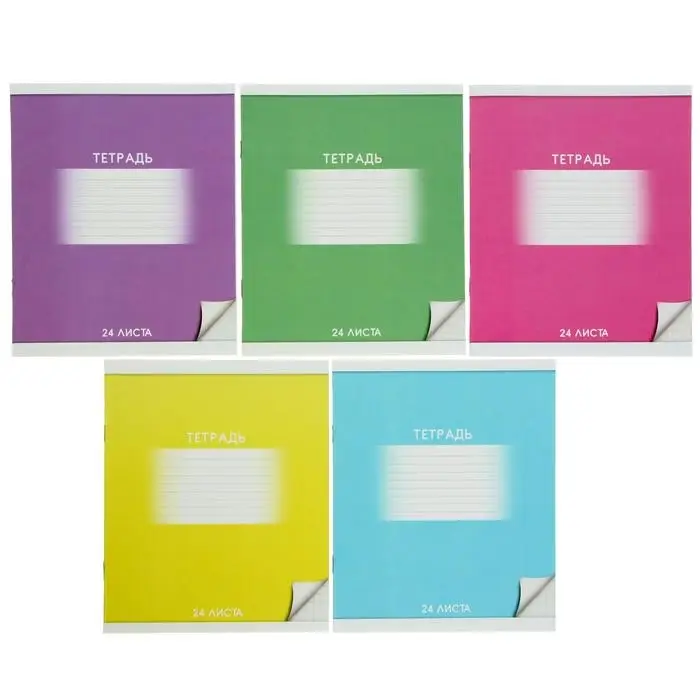 Тетрадь 24 листа в клетку, Calligrata &laquo;Школьная&raquo;, обложка мелованный картон, МИКС