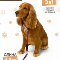 Ринговка для собак, 150&times;0.6 см, с вертлюгом, красная, синяя
