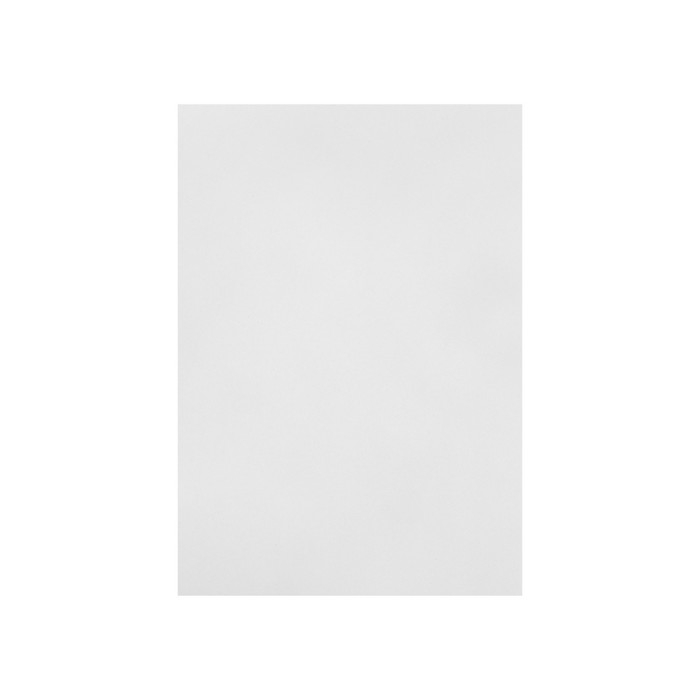 Бумага для рисования А4, 100 листов  Бумага для рисования А4, 100 листов "Совенок" Calligrata, 80г/м2, в папке