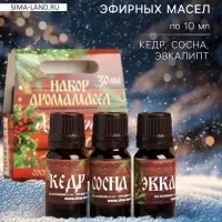 Новогодний набор эфирных масел &laquo;Хозяину бани!&raquo;, сосна, кедр, эвкалипт, 3 шт. по 10 мл