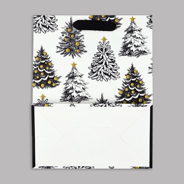 Пакет подарочный новогодний ламинированный «Зимняя сказка», MS 23 x 18 х 10 см Пакет подарочный новогодний ламинированный «Зимняя сказка», MS 23 x 18 х 10 см