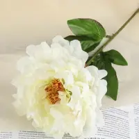 Цветы искусственные &laquo;Пион бархатный&raquo;, 15&times;55 см, белые