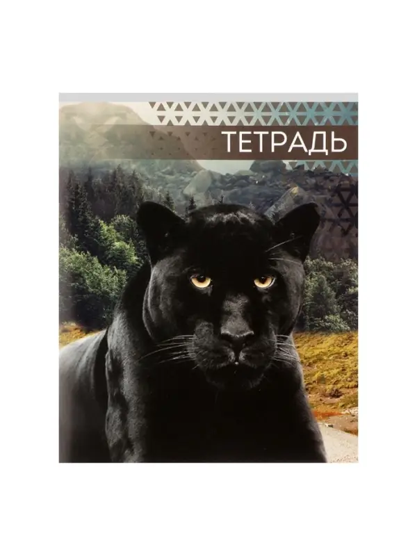 Тетрадь 48 листов в клетку, Calligrata &laquo;Дикие кошки&raquo;, обложка мелованная бумага, МИКС