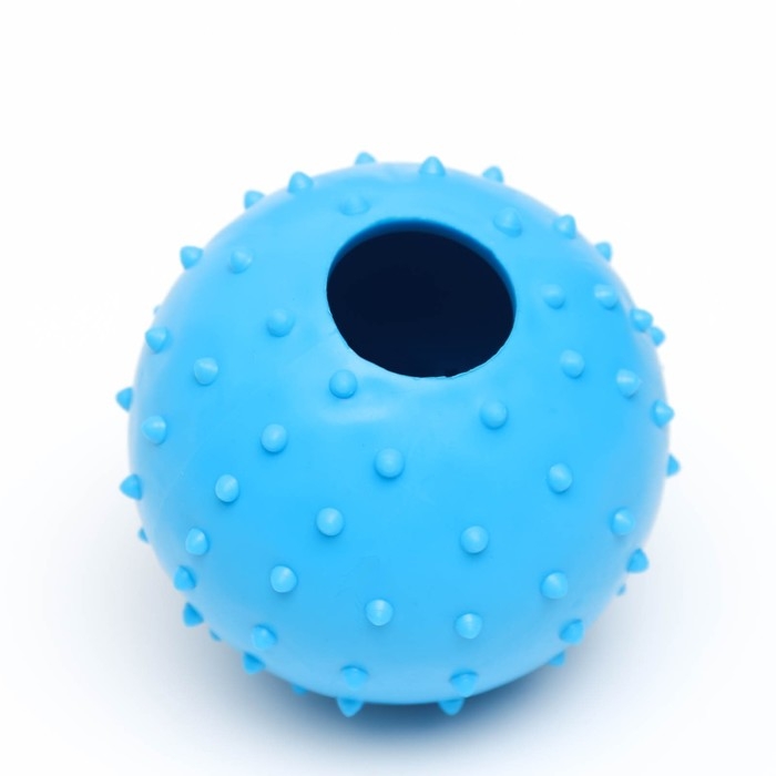 Мяч большой Мяч большой "Шипастый", TPR, 9,5 см, голубой