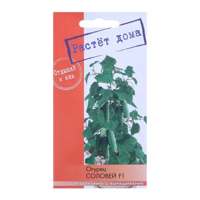 Семена  Семена "Растёт дома!" Огурец Соловей, F1  5 шт.