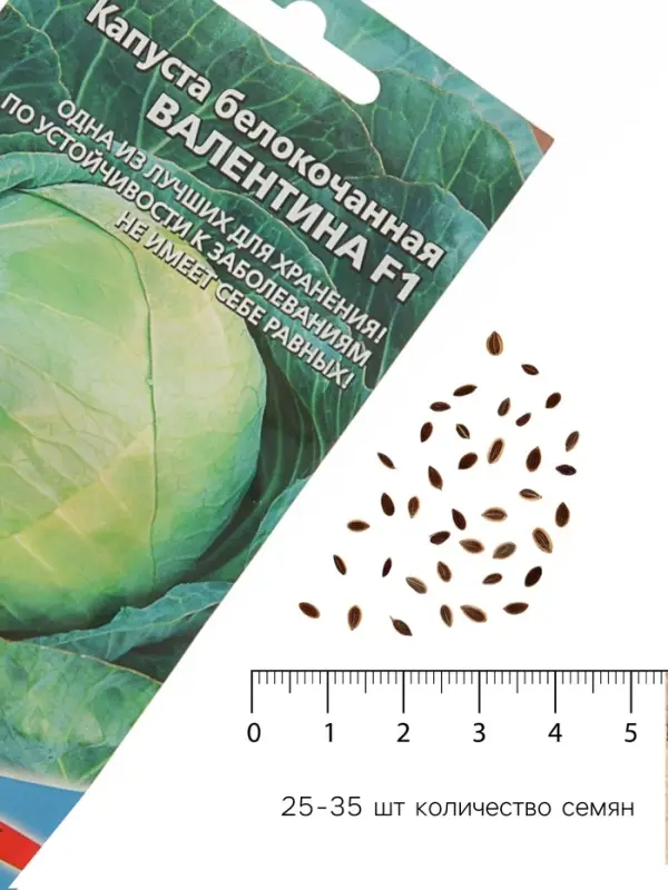 Семена Капуста белокочанная &laquo;Валентина&raquo;, F1, 0.1 г, позднеспелая, &laquo;Уральский дачник&raquo;