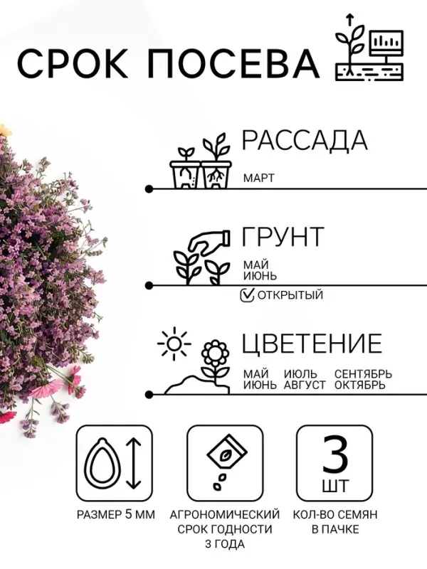 Семена Цветов Бакопа &laquo;Блутопия&raquo;, однолетник, 3 шт., &laquo;АЭЛИТА&raquo;