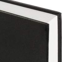 Ежедневник датированный 2026 Выбор есть, А5, 160л, бумвинил, черный