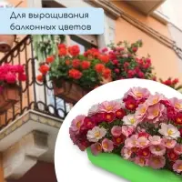 Ящик для цветов, 28.5&times;15.5&times;8.5 см, 2.5 л, пластик, зелёный, Greengo