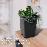 Горшок для рассады, 7 л, d = 21 см, h = 27,5 см, чёрный