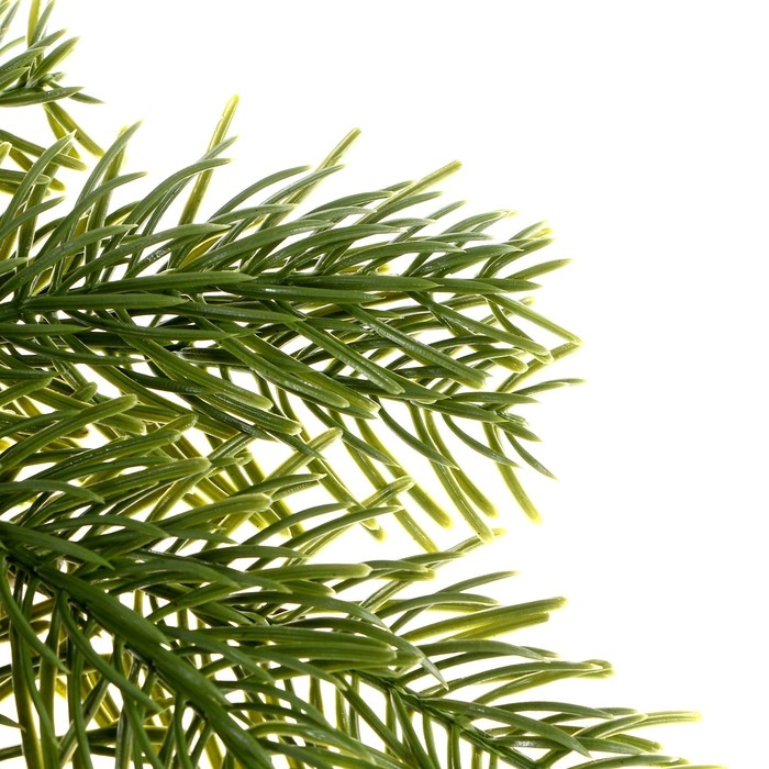 Декор &laquo;Ветвь душистой ели&raquo;