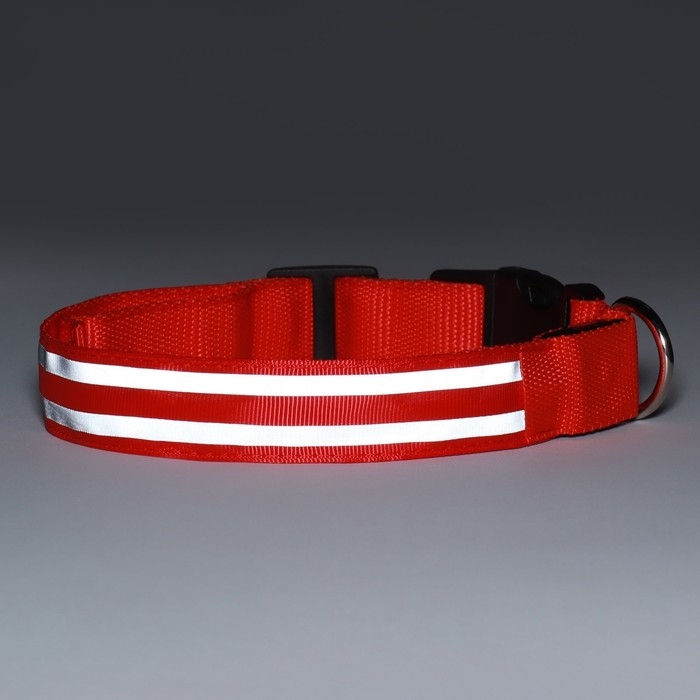 Ошейник с подсветкой Двойная полоса размер L, ОШ 45-52 х 2,5 см, 3 режима свечения красный Ошейник с подсветкой Двойная полоса размер L, ОШ 45-52 х 2,5 см, 3 режима свечения красный