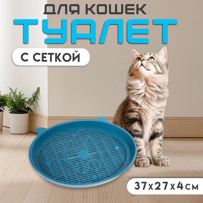 Туалет с сеткой  Туалет с сеткой "Киса", 37 х 27 х 4 см, синий