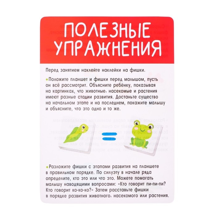 Развивающий набор «Эволюция», животные, растения, насекомые Развивающий набор «Эволюция», животные, растения, насекомые