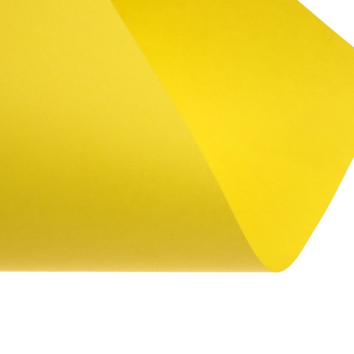 Бумага цветная А4 250л Calligrata Пастель + интенсив МИКС 10цв 80г/м2, АМБАЛАЖ Бумага цветная А4 250л Calligrata Пастель + интенсив МИКС 10цв 80г/м2, АМБАЛАЖ