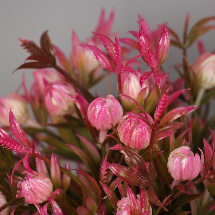 Бонсай в горшке Бонсай в горшке "Цветы луковичные" 21х9 см, микс