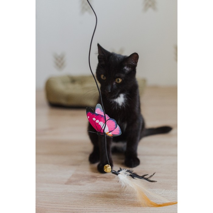 Дразнилка  Дразнилка "Бабочка" с перьями, микс цветов