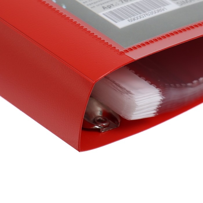 Папка-портфолио А4, Calligrata  Папка-портфолио А4, Calligrata "Веселая школа", пластиковая, на 4 кольцах, для школьника, 20 файлов