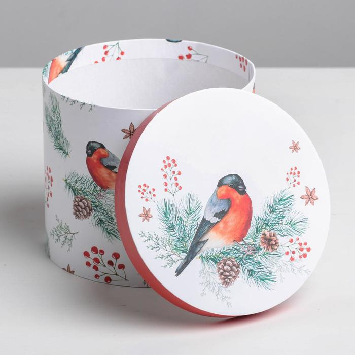 Набор подарочных коробок 5 в 1 «Европейский», 13 х 14‒19.5 х 22 см, Новый год Набор подарочных коробок 5 в 1 «Европейский», 13 х 14‒19.5 х 22 см, Новый год