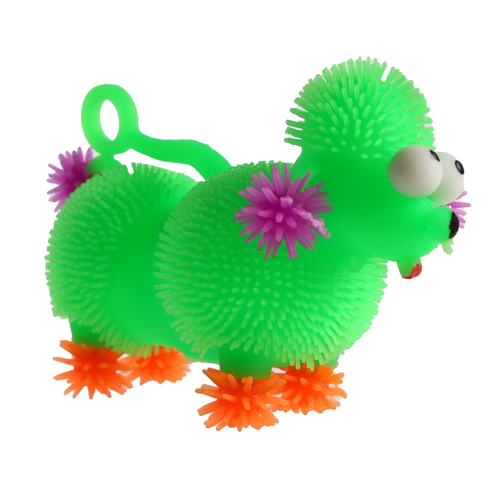 Мяч детский резиновый ёжка световой «Пудель», цвета МИКС , в шоубоксе Мяч детский резиновый ёжка световой «Пудель», цвета МИКС , в шоубоксе