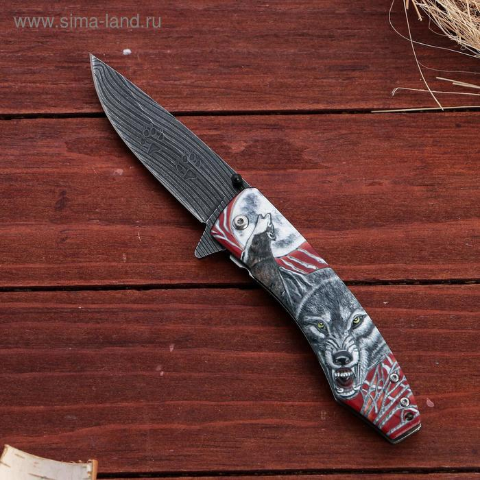 Нож складной  Нож складной "Вожак" сталь - 95х18, рукоять - венге, 23 см
