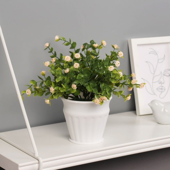 Бонсай в горшке Бонсай в горшке "Гомфрена премиум" 21х10 см, микс