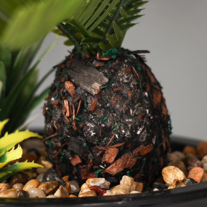 Бонсай в горшке Бонсай в горшке "Ассорти премиум" 19х17 см