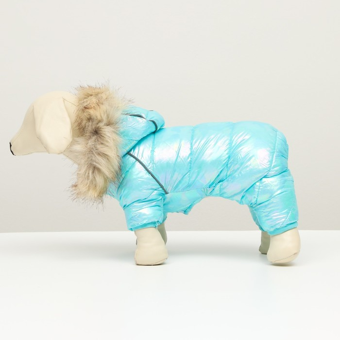 Комбинезон Комбинезон "Глянец", размер 8 (ДС 23, ОГ 30, ОГ 22), голубой