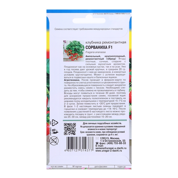 Семена Клубника ремонт.  Семена Клубника ремонт. "СОРВАНИХА" F1,5 шт.