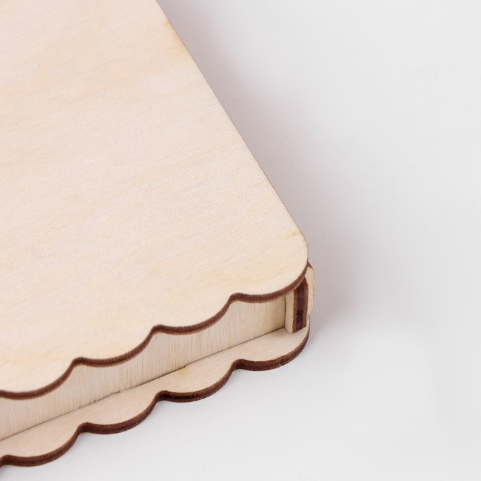 Купюрница, 2.5 × 9.5 × 17 Купюрница, 2.5 × 9.5 × 17