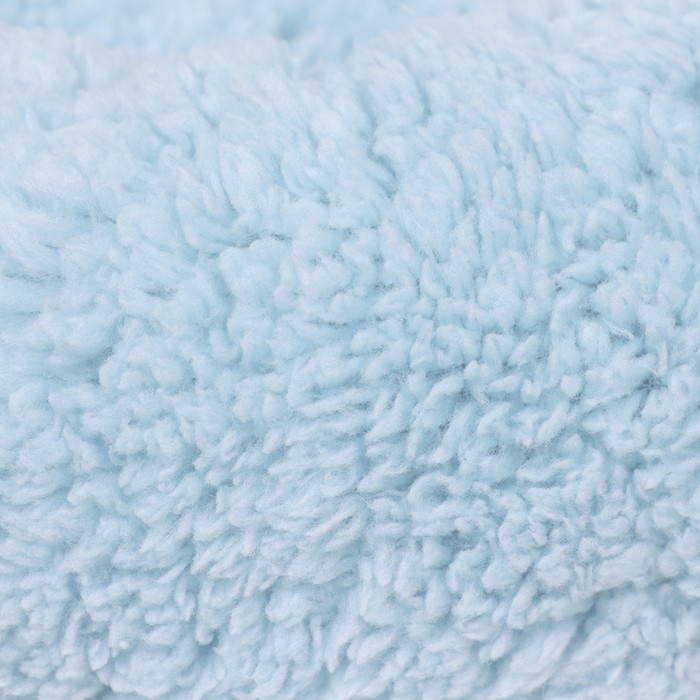 Лежанка для собак и кошек «Уют», мягкий мех, 45 х 35 х 11 см, голубая Лежанка для собак и кошек «Уют», мягкий мех, 45 х 35 х 11 см, голубая