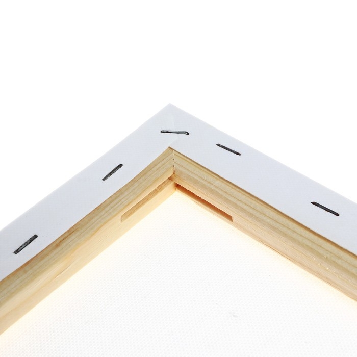 Холст на подрамнике 1,6х50х70 см, Calligrata, хлопок 100%, акриловый грунт, среднезернистый, 380г/м² Холст на подрамнике 1,6х50х70 см, Calligrata, хлопок 100%, акриловый грунт, среднезернистый, 380г/м²