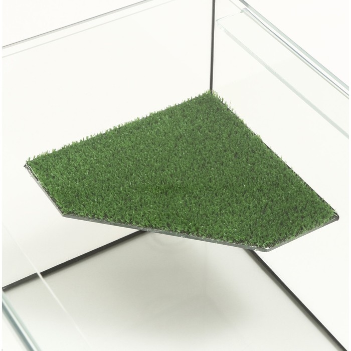 Террариум с покровным стеклом и мостиком 50 литров, 55 х 33 х 29 см Террариум с покровным стеклом и мостиком 50 литров, 55 х 33 х 29 см