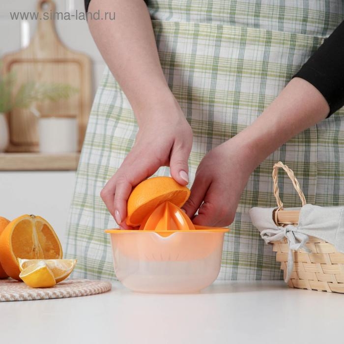 Соковыжималка для цитрусовых «Мадена», 300 мл, цвет МИКС Соковыжималка для цитрусовых «Мадена», 300 мл, цвет МИКС