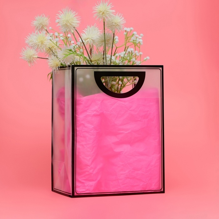 Пакет ПП с вырубной ручкой, прозрачный, 30 х 23 х 15 см, черный Пакет ПП с вырубной ручкой, прозрачный, 30 х 23 х 15 см, черный