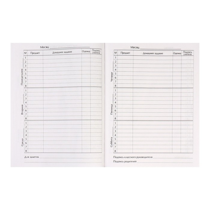 Дневник для 5-11 классов, Дневник для 5-11 классов, "Мото будущего", твердая обложка 7БЦ, матовая ламинация, 48 листов