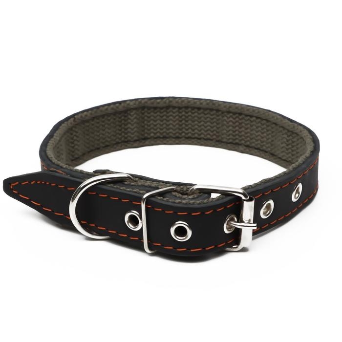 Ошейник комбинированный кожа/брезент, 54 х 2,5 см, украшенный, ОШ 35-45 см, черный Ошейник комбинированный кожа/брезент, 54 х 2,5 см, украшенный, ОШ 35-45 см, черный