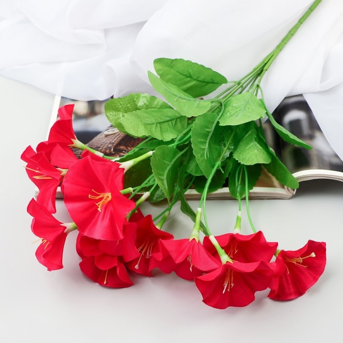 Букет Букет "Петуния" 5х30 см, микс