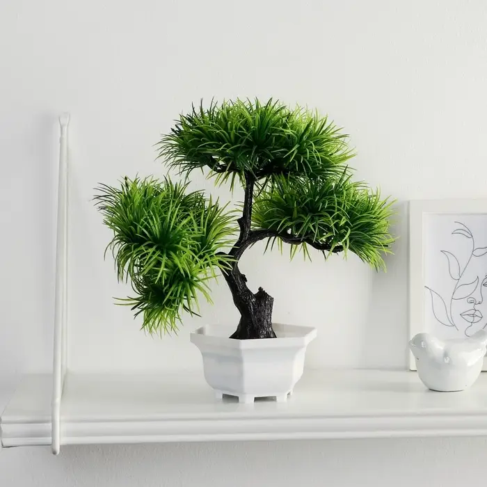 Бонсай в горшке &laquo;Цитронелла&raquo;, 12&times;25 см