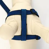 Шлейка с поводком, рельефная, поводок 120&times;2 см, ОГ 44-50 см, синяя, чёрная