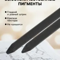 Грифели для цанговых карандашей Koh-I-Noor 4190, 12 штук, узел 2.0 мм, HB, в футляре