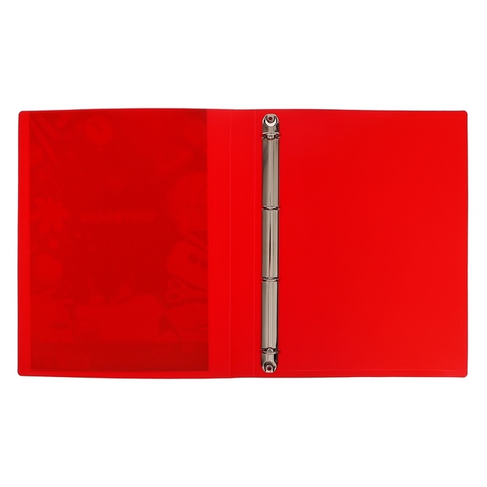 Папка-портфолио А4, Calligrata "Переменка", пластиковая, на 4 кольцах, для школьника, без вкладышей