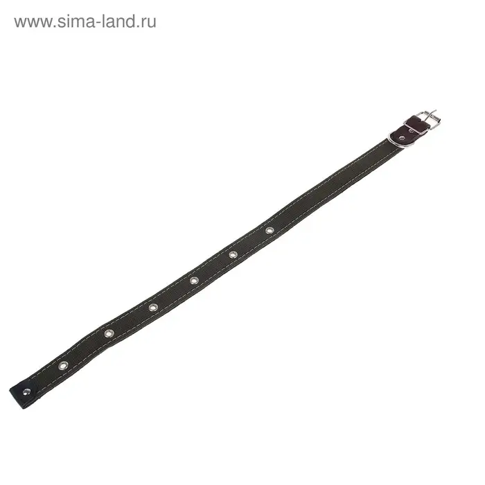 Ошейник брезентовый на фетре, 62&times;2.5 см, ОШ 30-55 см, тёмно-зелёный