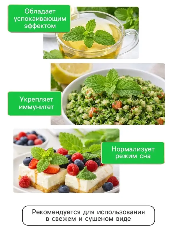 Семена Мелисса лекарственная &laquo;Лимонный аромат&raquo; 0.1 г, &laquo;Рецепты дедушки Никиты&raquo;